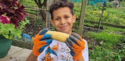 Harvest time at EPS