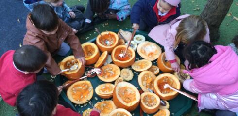 CYP Lower – Poppies and Pumpkins in Little Cypress