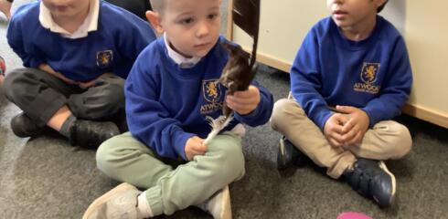 ATW Nursery News – Owls, nursery rhymes and languages