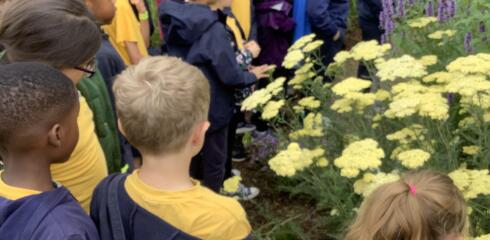 Atwood Year 3 visit RHS Wisley
