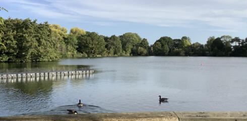 CYP Lower-Year 1 had a fantastic time in South Norwood Lake Park